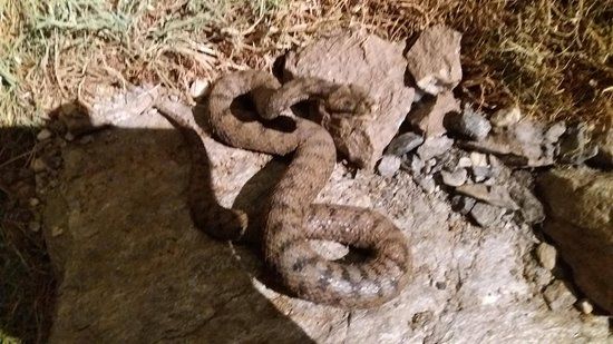 Centro Visita Alevè